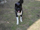 2011_03_27 237.jpg
